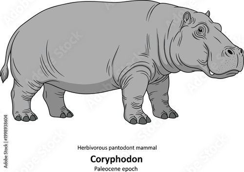 Coryphodon extinct herbivorous pantodont mammal Paleocene epoch illustration.