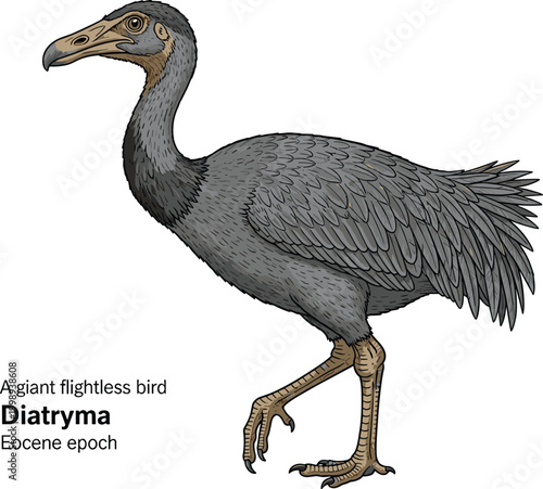 Diatryma extinct flightless bird Eocene epoch illustration.