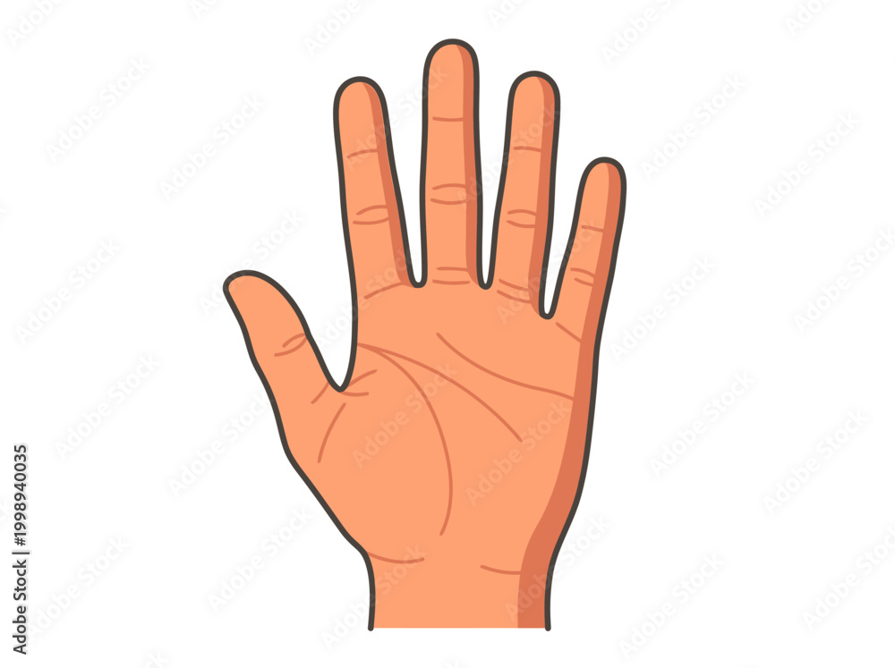 Fototapeta premium Human Palm Open Hand Illustration - High Five, Stop Gesture, or Five Fingers Vector Graphic