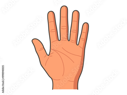 Human Palm Open Hand Illustration - High Five, Stop Gesture, or Five Fingers Vector Graphic