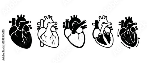 Human Heart Anatomy Vector Icons Set, Detailed Cardiac Organ Illustrations for Medical Education, Cardiology Health Symbols in Flat Black Silhouette Style on White Background for Clinical Infographics