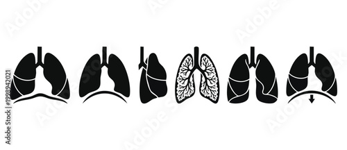Human Lungs Icons Set, Respiratory System Anatomy Graphics, Pulmonary Health Diagnostic Symbols for Medical Infographics and Clinical Education Isolated on White Background