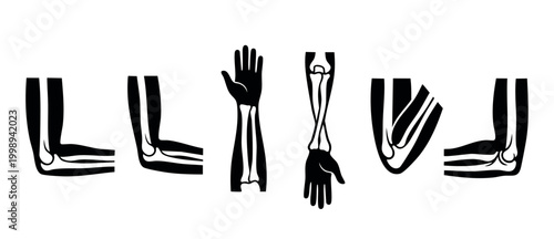 Human Arm Skeleton Anatomy Icons Set, Elbow and Forearm Bone Vector Illustrations for Medical Education, Orthopedic Surgery Diagnostics, Clinical Training, Biology Diagrams, and Healthcare Infographic
