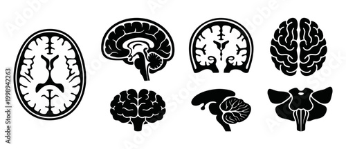 Human Brain Anatomy Icons Set, Medical Neurology Cross Section Diagrams, Scientific Brain Structures Collection in Minimalist Black and White Vector Silhouette Style for Educational and Clinical Resea