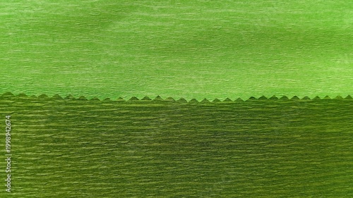 Fotografie Light and pickle green crepe paper texture background with a serrated dividing l