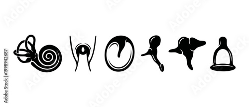 Human Inner Ear Anatomy Icons Set - Cochlea Malleus Incus Stapes Structure Diagram - Medical Otology Symbol Collection for Audiology ENT Healthcare Clinic Illustration Isolated on White Background Vec