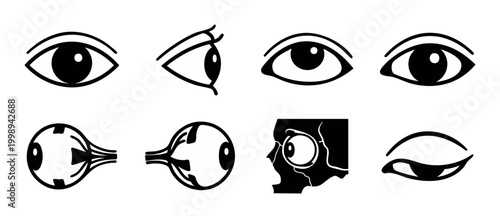 Human Eye Icon Set Vector Illustration, Different Angles and Anatomy Views for Medical Graphics and Optometry Design, Minimalist Black Silhouette Symbols on White Background, ophthalmology collection.