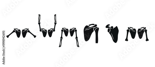 Human Shoulder Anatomy Bone Icons Set Vector Illustration. Detailed collection of scapula and humerus joints for orthopedic medical study, physical therapy, and clinical education health graphics blac
