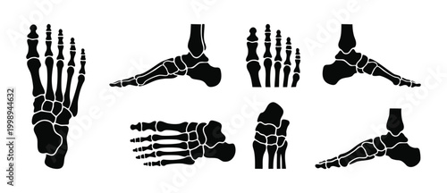 Human Foot Bones Skeleton Set, Anatomical Foot Structure Views, Orthopedic Anatomy Vector Illustration for Medical Education, Podiatry Science Icons, X-ray Style Silhouette Graphics on White Backgroun