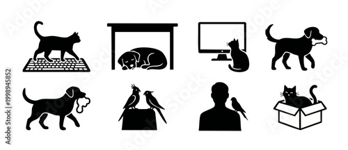 Pet icons set with dogs, cats, and birds silhouette collection for animal care and veterinary services, domestic life activities, pet ownership concepts, black flat vector illustrations on white backg