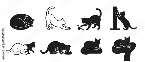 Cat Silhouette Icon Set, Pet Behavior Poses and Activities, Simple Black Vector Graphics for Veterinary, Animal Care, Feline Breeding, Shelter Adoption and Domestic Lifestyle Design Elements Collectio