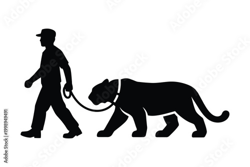 Silhouette of a man walking a tiger on a leash against a white background