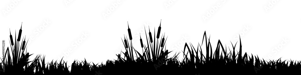 Fototapeta premium Meadow silhouette with grass, plants on plain. Panoramic summer lawn landscape with herbs, various weeds. Herbal border, frame element. Black horizontal banners. Vector illustration