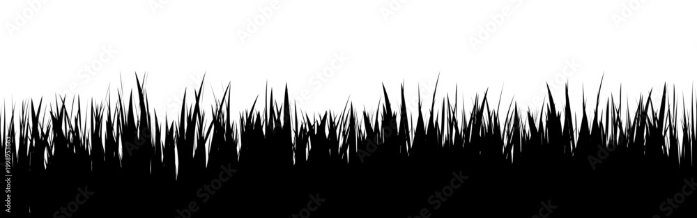 Fototapeta premium Meadow silhouette with grass, plants on plain. Panoramic summer lawn landscape with herbs, various weeds. Herbal border, frame element. Black horizontal banners. Vector illustration