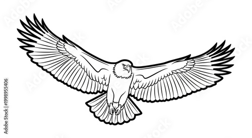 Powerful soaring eagle illustration, a majestic bird of prey with widespread wings, embodying strength, freedom, and the wild spirit of nature in flight