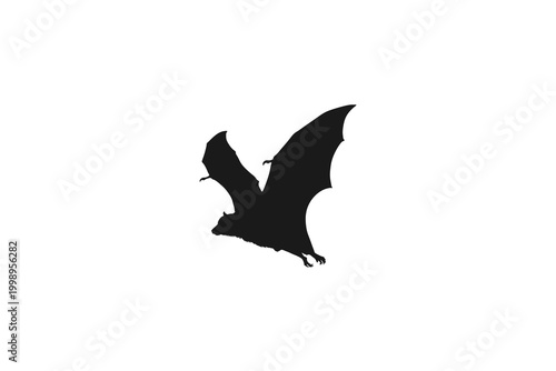 Bat Flying with Spread Wings Silhouette