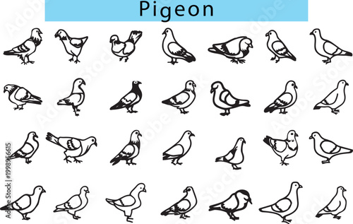 Pigeon outline drawing easy art in a white background