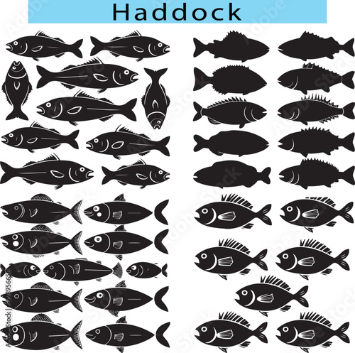 Simple Haddock vector illustration, Haddock silhouette in a white background