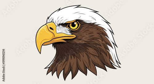 Illustration of a fierce bald eagle head with sharp beak and intense eyes.