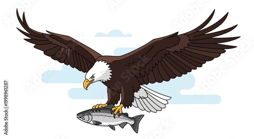 Illustration of a bald eagle catching a fish in its talons mid-flight.