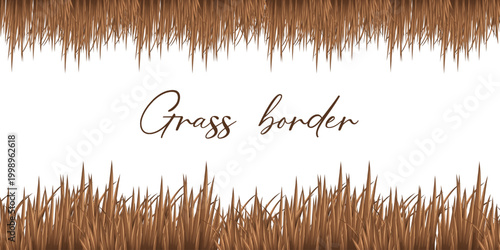 Green Grass Border Vector with Lawn, Meadow and Natural Garden Landscape Elements