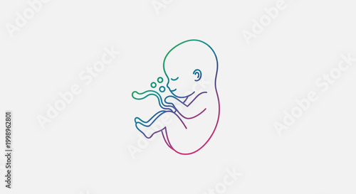 Fetus in womb, umbilical cord, development, new life, medical illustration, colorful outline