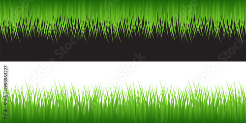 Green Grass Border Vector with Lawn, Meadow and Natural Garden Landscape Elements