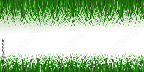 Green Grass Border Vector with Lawn, Meadow and Natural Garden Landscape Elements