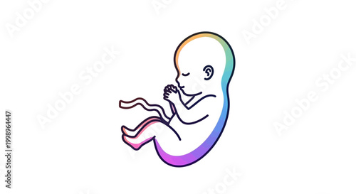 Fetus development, human embryo, colorful, stylized, medical, science, life, growth, pregnancy