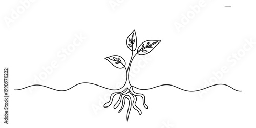 Continuous single line drawing of a small plant sprout with visible roots growing from the ground representing nature and growth Vector, illustration