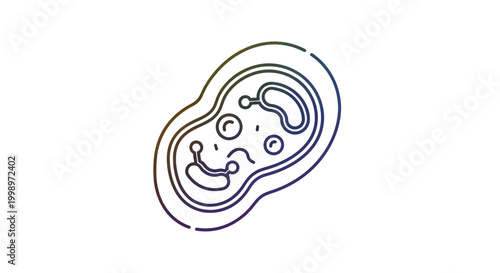 Microscopic view of a single cell with internal organelles, scientific illustration