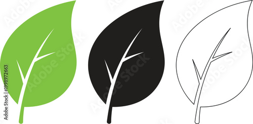 Three leaves color silhouette and outline a botanical study