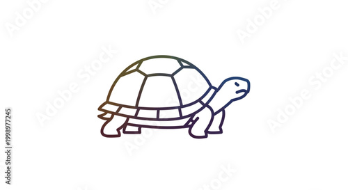 Cute cartoon tortoise illustration, simple line art, white background, colorful shell, slow animal