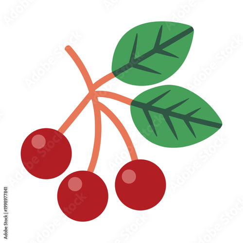 Three ripe red cherries on a stem with green leaves vector illustration.