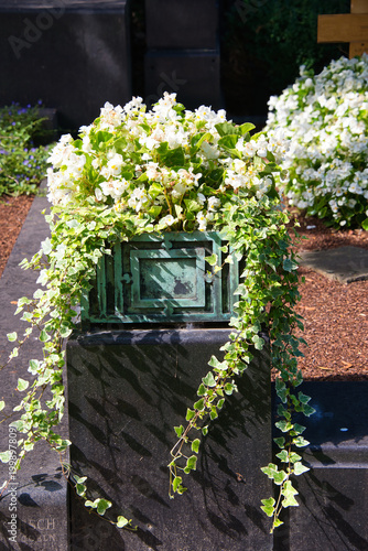 schön bepflanztes Gefäß für Blumen auf einem Friedhof in Köln