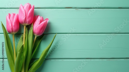 pink tulips on green wooden background rustic floral spring composition