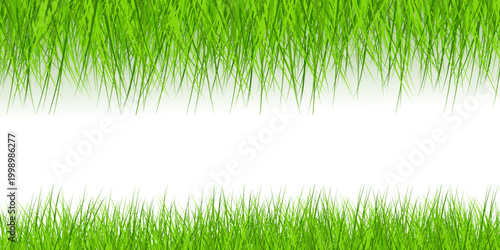 Green Grass Border Vector with Lawn, Meadow and Natural Garden Landscape Elements