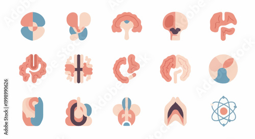 Set of stylized human organ icons in flat design style.