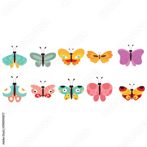 Butterfly Species Illustration