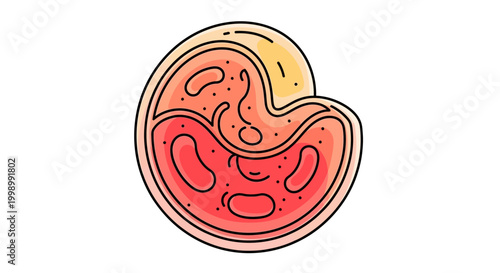 Abstract biological cell cross-section with internal organelles, science and medical concept