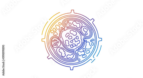 Abstract Cell Biology Icon: Colorful Outline of a Biological Cell with Organelles