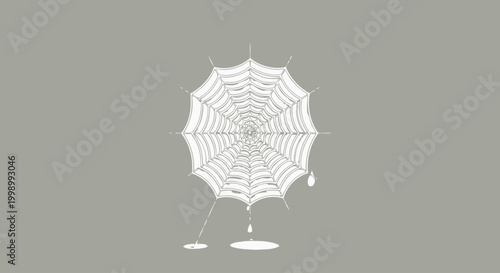 White spider web close up detail.