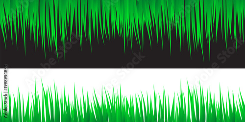 Green Grass Border Vector with Lawn, Meadow and Natural Garden Landscape Elements