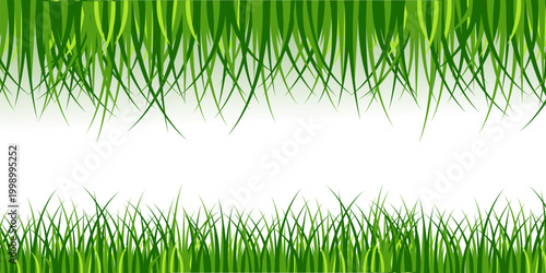 Green Grass Border Vector with Lawn, Meadow and Natural Garden Landscape Elements