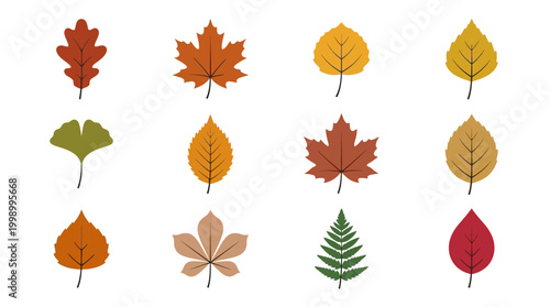 Diverse Collection of Colorful Autumn Leaves Representing Fall Season.