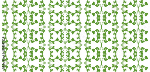 Seamless Green Parsley Leaf Pattern: Herbal Botanical Illustration Background with Fresh Garden