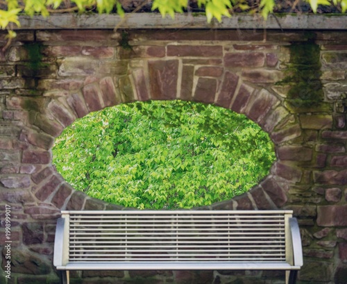 Resting bench with a rear view of nature