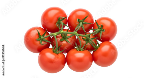fresh ripe red tomatoes cluster with green stems isolated on white background
