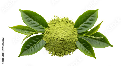 green matcha tea powder with fresh leaves natural organic superfood energy boost
