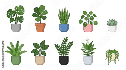 Collection of Houseplants in Pots, Potted Plants, Indoor Garden Decor, Vector Illustration